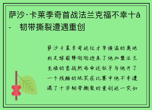 萨沙·卡莱季奇首战法兰克福不幸十字韧带撕裂遭遇重创